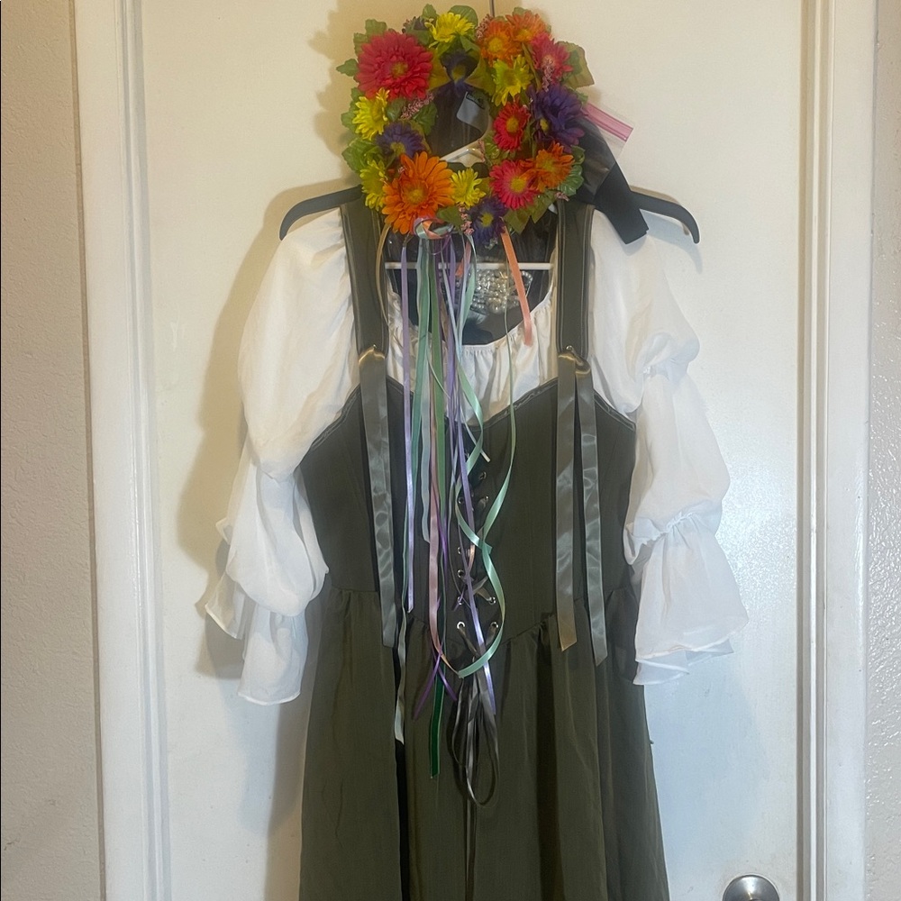 Renissamce dress NWOT